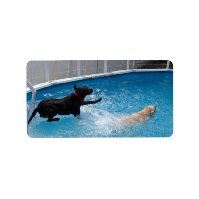 Étiquette Deux chiens qui sautent dans une piscine ! (Devant)