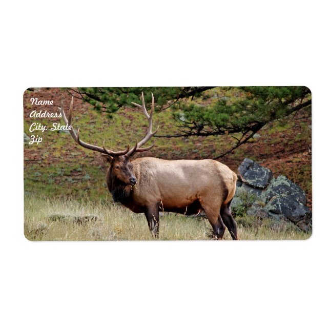 Étiquette d'expédition Elk (Devant)