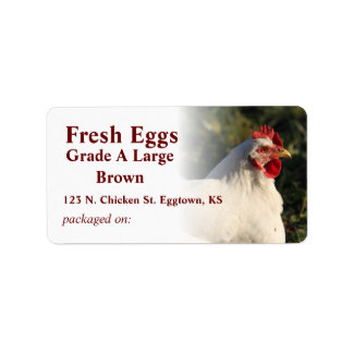 Étiquette d'oeufs de poule blanche