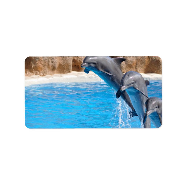 ÉTIQUETTE DOLPHINE (Devant)