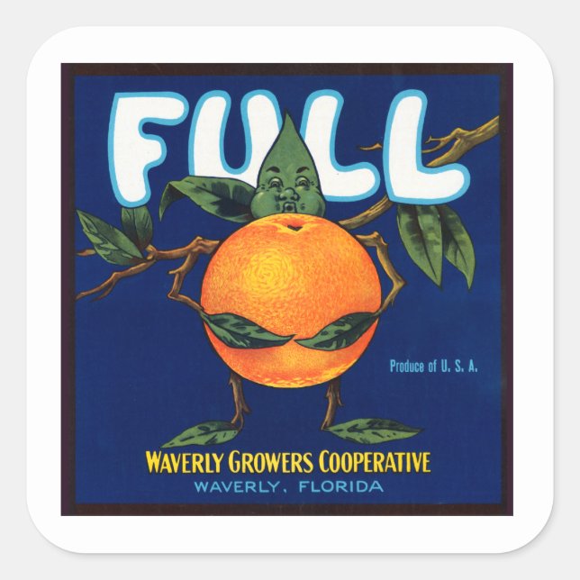 Étiquette d'oranges de marque complète (Devant)
