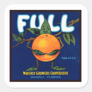 Étiquette d'oranges de marque complète
