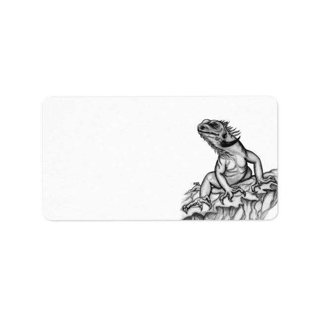 Étiquette Dragon sur le rocher (Devant)