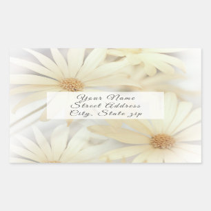 étiquette "Dreamy Daisies"