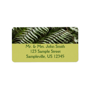 Étiquette Fern Fronds II Dark Green Nature