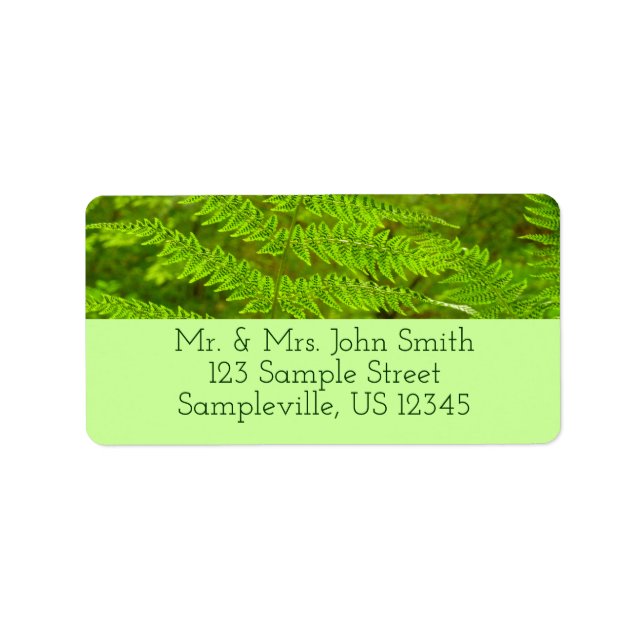 Étiquette Fern Fronds III Nature verte Botanique (Devant)