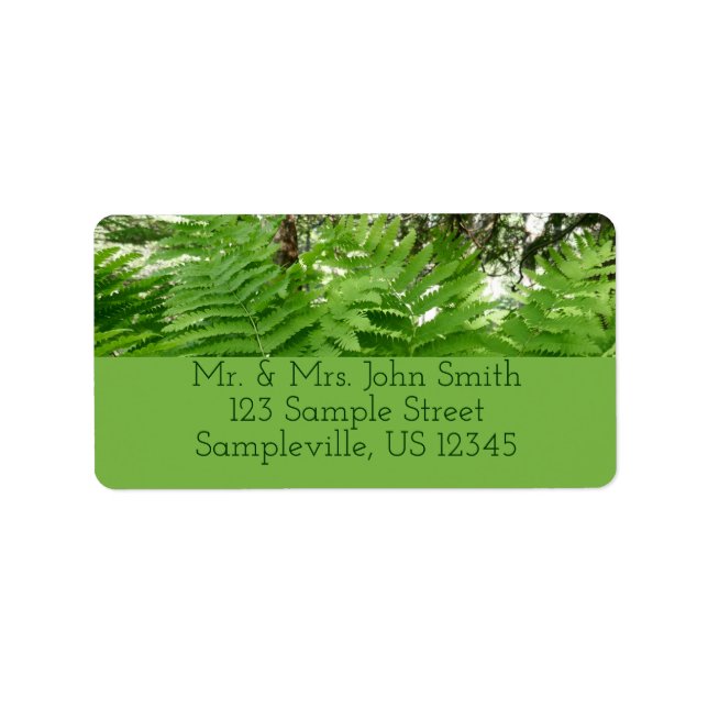 Étiquette Fern Fronds IV Nature verte Botanique (Devant)