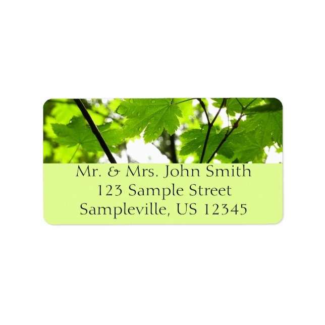 Étiquette Feuilles d'érable avec Raindrops (Devant)