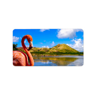 Étiquette Flamingo des Caraïbes en Saint-Kitts