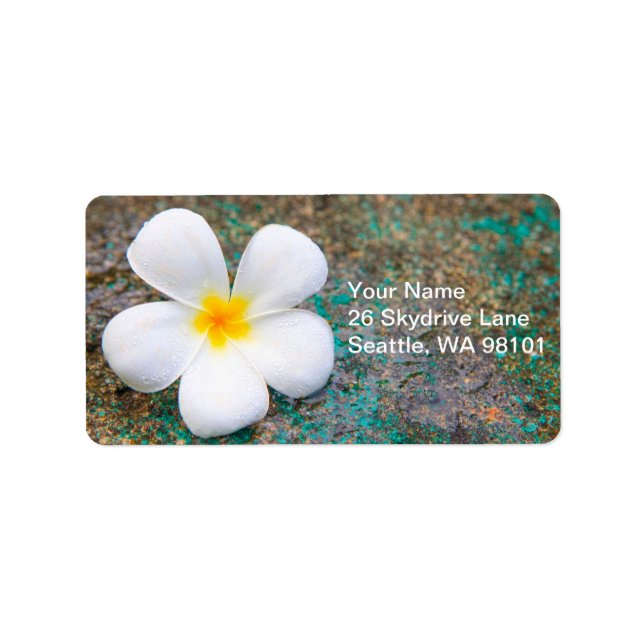Étiquette Fleur de Plumeria Blanche Tropicale Frangipani (Devant)