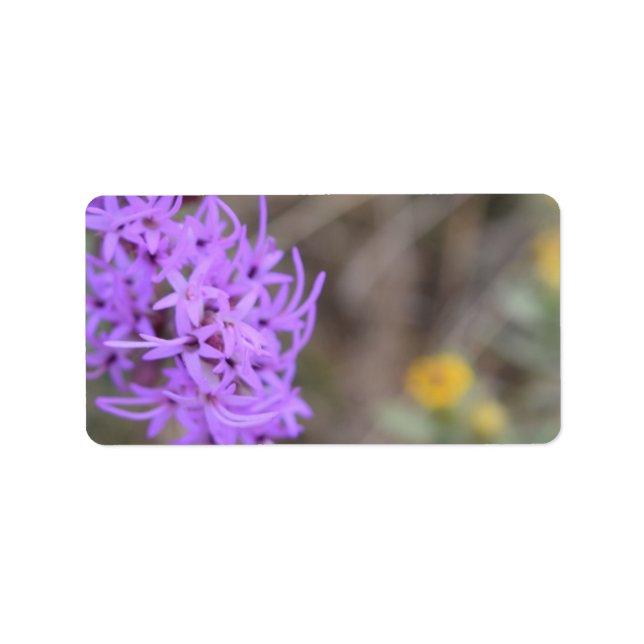 Étiquette Fleur sauvage de lavande (Devant)