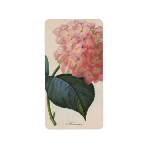 Étiquette Fleurs de Jardin vintages, Hydrangée Rose Hortensi