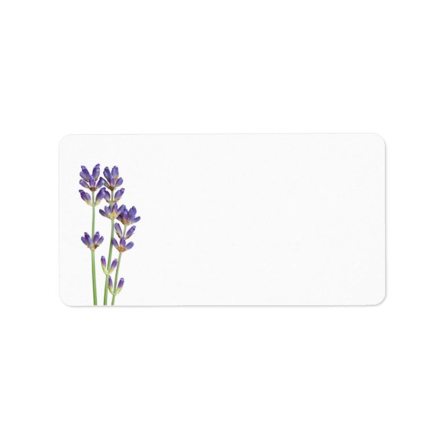 Étiquette Fleurs De Lavande Isolées Sur Arrière - plan Blanc (Devant)