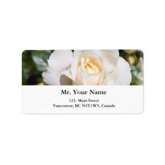 Étiquette fleurs de rose blanches assez pures. amour, romanc