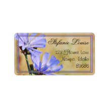 Fleurs sauvages le matin