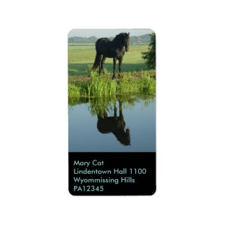 Étiquette Friesian Horse Réflexion dans l'eau