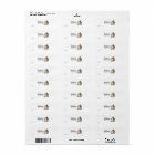 Grinch classique | Grinch & Max avec Sleigh