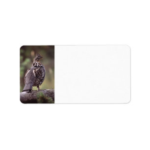 Étiquette grouse