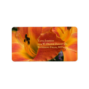 Étiquette Heures / Hemerocallis / Lily orange /