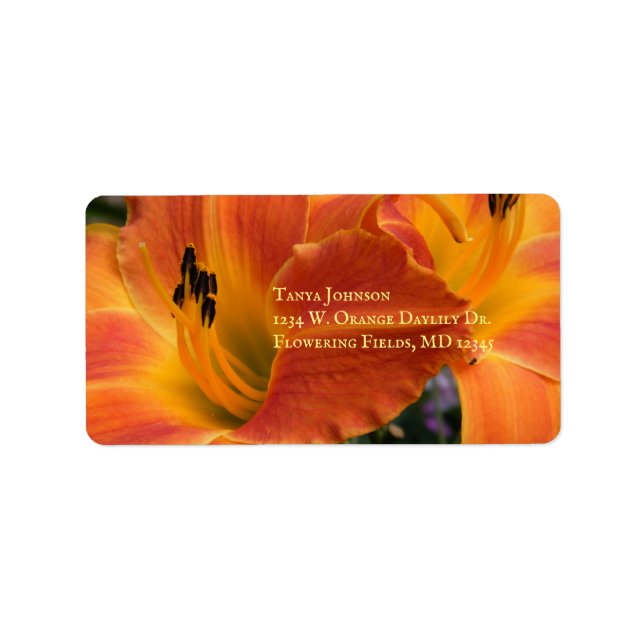 Étiquette Heures / Hemerocallis / Lily orange / (Devant)