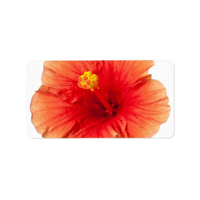 Étiquette Hibiscus jaune orange Fleur tropicale hawaïenne (Devant)