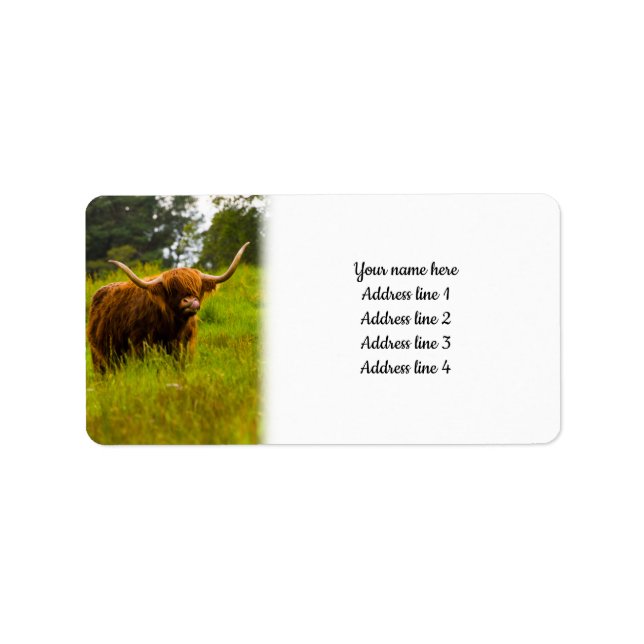 Étiquette Highland Cow (Devant)