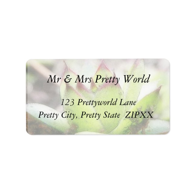 Étiquette Houseleek - Sempervivum (Devant)