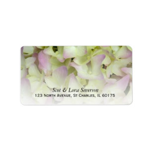 Étiquette Hydrangea Floral Presque Rose Adresse de retour