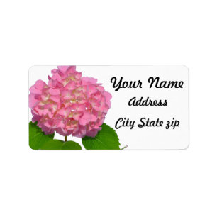 Étiquette Hydrangée rose rose fleur rose