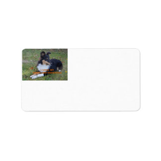 Étiquette I Love My Shetland Sheepdog Black Tri
