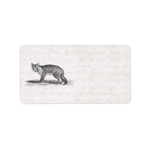 Étiquette Illustration rusée vintage de Fox - renards 1800's