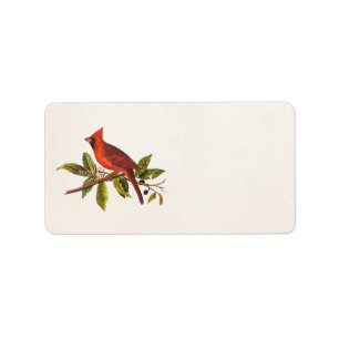 Étiquette Illustration vintage du cardinal Song - années 180