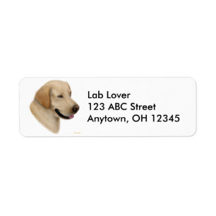 Étiquette jaune de chien de labrador retriever