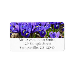 Étiquette Katherine Hodgkin Irises Printemps Violet Floral