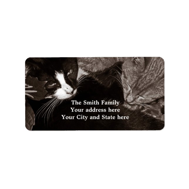 Étiquette Les chats Yin Yang (Devant)