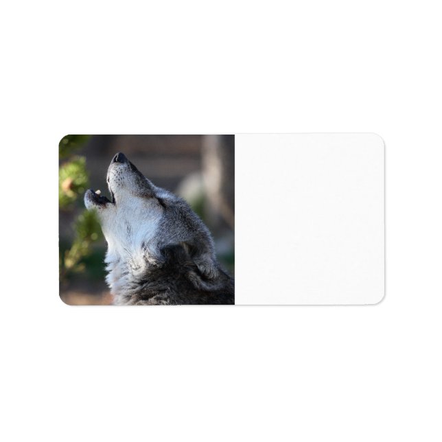 Étiquette loup (Devant)