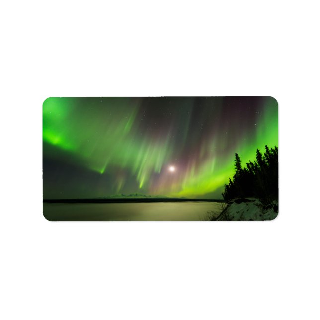 Étiquette Majestic Aurora (Devant)