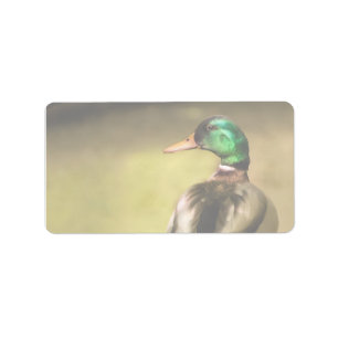 Étiquette Mallard Duck