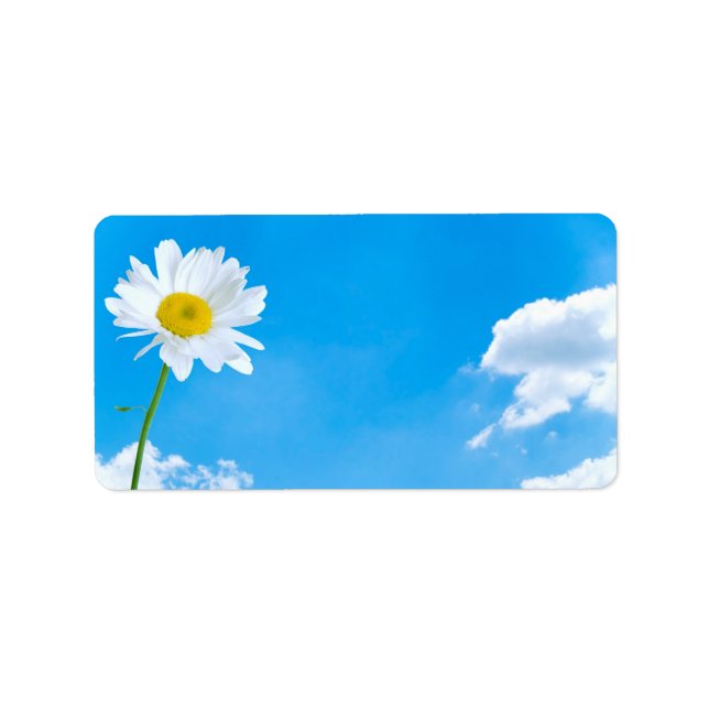 Étiquette Marguerite d'été Ciel bleu clair (Devant)