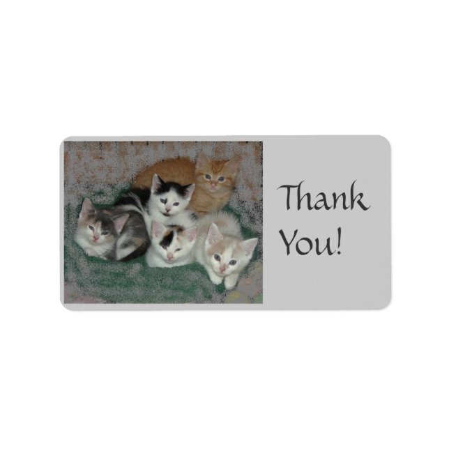 Étiquette Merci !/Kitties (Devant)