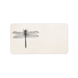 Étiquette Modèle américain vintage de mouche de dragon de