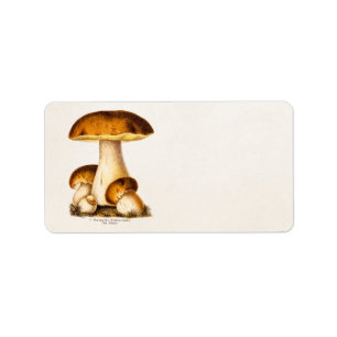 Étiquette Modèle comestible de champignons de champignon