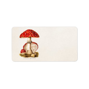 Étiquette Modèle vintage de champignons de rouge de