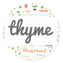 Étiquette MOT HERBE - HERBES/LÉGUMES - THYME