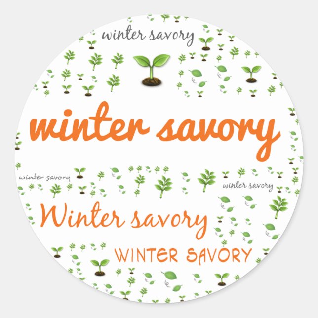 Étiquette MOT HERBE - SAVORY HIVER (Devant)