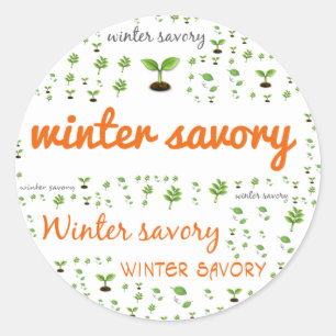 Étiquette MOT HERBE - SAVORY HIVER