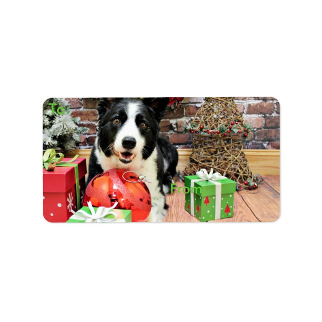 Étiquette Noël - Bordure Collie - Yaeger (Devant)
