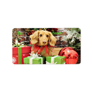 Étiquette Noël - Dachshund - Bo