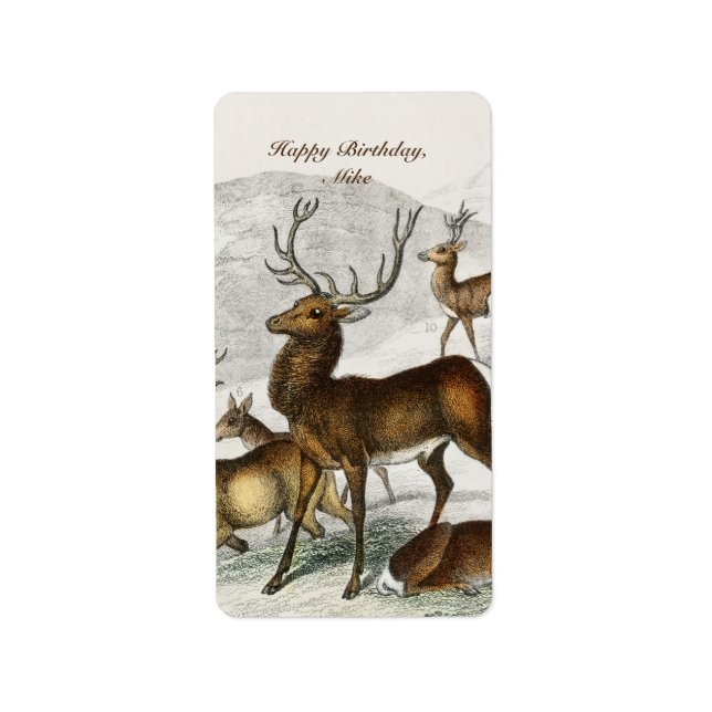 Étiquette Nom Personnalisé Red Deer Hart, Hind, Roebuck Musc (Devant)