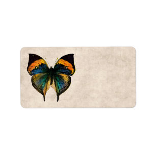 Étiquette Papillons vintages de l'illustration 1800's de